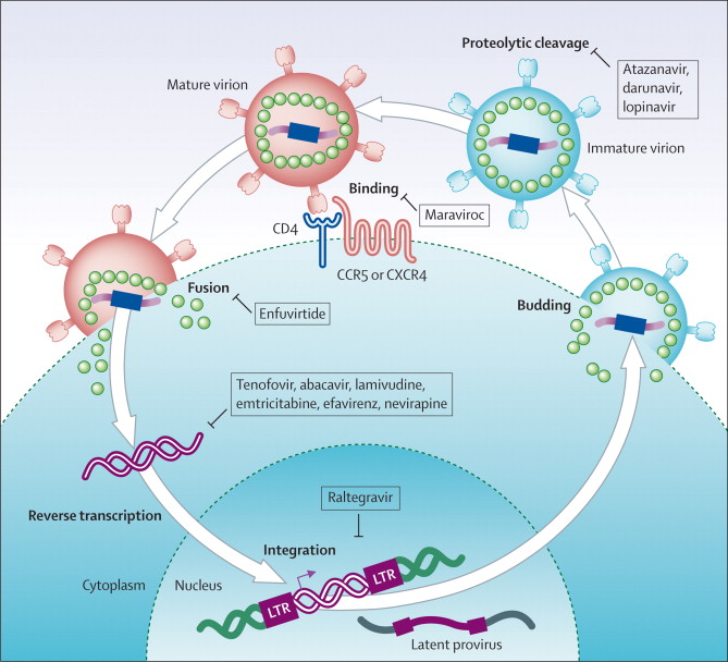 HIV treatment